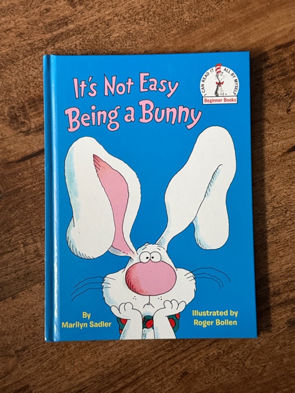 It's Not Easy Being a Bunny - Blue Beginner Kids Book